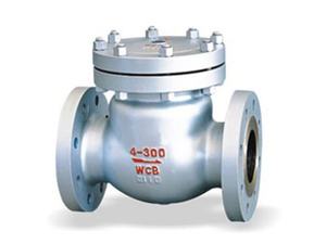 Stainless Steel Flanged H14W Swing Check Valve